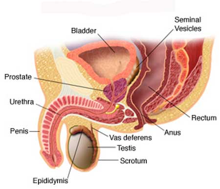 Prostate Laser Surgery Cost in India â€“ Samved Urology Hospital